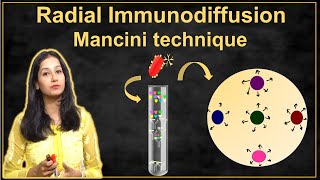 Radial Immunodiffusion I Mancini technique I Immunotechnique II Immunology [upl. by Bolitho209]