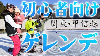 【関東・甲信越】初心者向けスキー・スノーボードゲレンデBest５！ [upl. by Kalb]