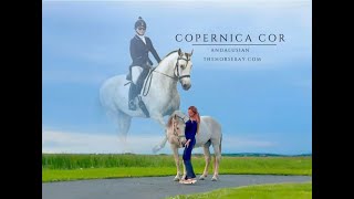 Copernica Cor  The Andalusian [upl. by Walden]