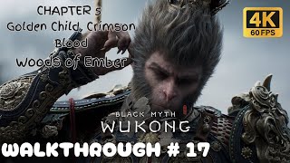 Black Myth Wukong Walkthrough Gameplay Part 17  Chapter 5  Woods of Ember [upl. by Alliuqahs]