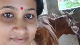 kalyani vlogs is live [upl. by Shaine]