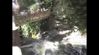 Bushkill Falls ❤ Poconos Waterfalls Simply Must See PA Tourist Attraction [upl. by Symon796]