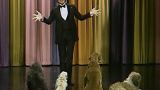 Steve Martin performs standup comedy for dogs on the Tonight Show [upl. by Genovera]