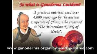 The Power of Ganoderma [upl. by Lancey603]