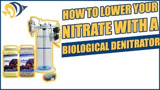 How to Lower Your Nitrate with a Biological Denitrator [upl. by Anazus149]