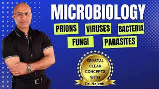 Microbiology  Prions Viruses Bacteria Fungi amp Parasites👨‍⚕️ [upl. by Noirret]