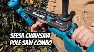 Whats the BEST Chainsaw and Pole Saw Combo for Your Money [upl. by Joanna]