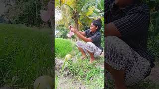 Girl Tries Kasippu කසිප්පු for the First Time 🍹😂 SriLanka Kasippu Shorts [upl. by Nuri]