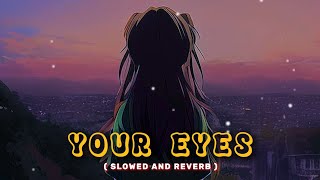 Your eyes got my heart X Teri nazron ne 👀❤️‍🩹Slowed and Reverb Barney Sku  lofi slowedandreverb [upl. by Anuahs]