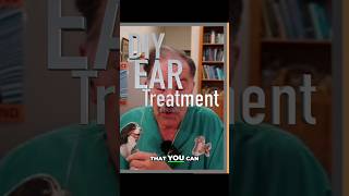 DIY Dog Ear Remedy Soothe and Clean your Dogs Ears at Home veterinarian dogshorts doglover [upl. by Enitsuj]