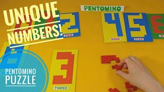 Pentomino Puzzle game Pentominoes solutions [upl. by Armillda]