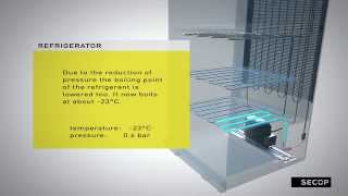 Refrigerant Circuit with a Reciprocating Compressor [upl. by Amiaj747]