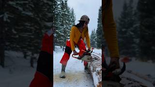 Cutting up more firewood for this winter Do you need help staying warm 😛🔥 wood chainsaw [upl. by Scheers]