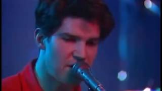 Lloyd Cole and The Commotions  Perfect Skin Live [upl. by Lattonia]