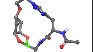 Boronic esterlinked macrocycles as warheads against serine proteases [upl. by Gwynne434]