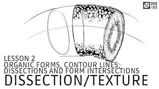 Drawabox Lesson 2 Exercise 4 Dissections [upl. by Nylkcaj]