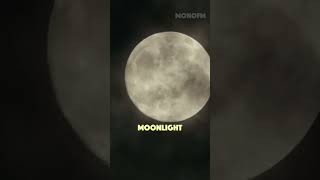 Xxxtentacion  Moonlight Lyrics [upl. by Anibur]