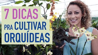 Como CUIDAR de ORQUÍDEAS em VASO 7 dúvidas respondidas pra ter PLANTAS com FLOR [upl. by Beryl]