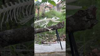 GODZILLA KEMASAN SASET articulating skeleton soa layar “hydrosaurus celebensis” [upl. by Gaspard841]