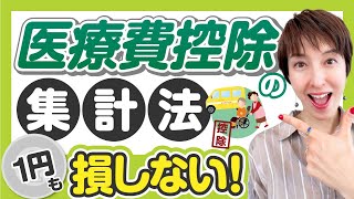 【医療費控除のための集計方法】1円も損しない！医療費集計フォームで取りこぼししない！ by 女性税理士 [upl. by Inatsed]