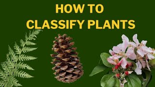 Learn Plant Classification  The Plant Kingdom [upl. by Chic306]