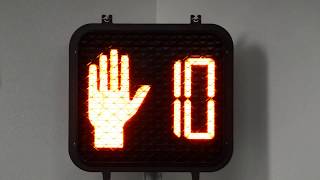 Pedestrian Countdown Signal Dialight 4306479001X [upl. by Ajim201]