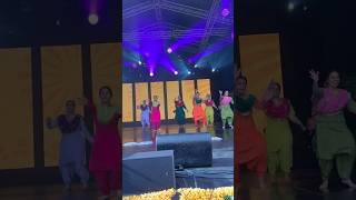 Diwali 🪔 Festival celebrations in Auckland New Zealand 🇳🇿 shorts diwali2024 festivals shorts [upl. by Uriiah]