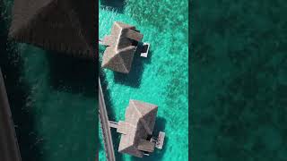 10000 per night in Bora Bora [upl. by Cilo]