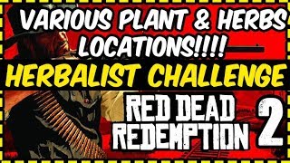 Red Dead Redemption 2  15 Different Plants and Herbs Locations Herbalist Challenge 6 [upl. by Eerok]