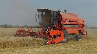 Mähdrescher DeutzFahr M1322 Weizenernte bei Meldorf [upl. by Hewitt]