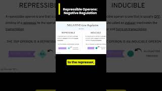 TRP Repressible Operon A type of Negative Gene Regulation [upl. by Nnayram]