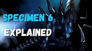 Specimen 6  Explained AVP 2010  Aliens vs Predator [upl. by Hajidak]