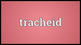 Tracheid Meaning [upl. by Letitia]