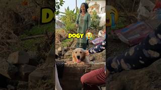 Cute Adventure 🥺 Dogvlog shorts vlog vlogger [upl. by Rome276]