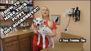 What to do if your Puppy is Agressive  Aggressive puppies [upl. by Zina185]