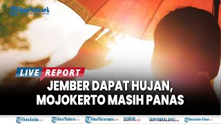 🔴JEMBER SAMBUT HUJAN PAGIPAGI MOJOKERTO MASIH PANAS  Info Cuaca Jatim Selasa 1 Oktober 2024 [upl. by Stew152]