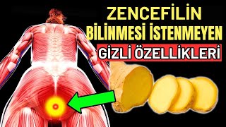 Zencefilin İlaç Sektörünün Gizlemek İstediği 7 Olağanüstü Etkisi [upl. by Ammadas]