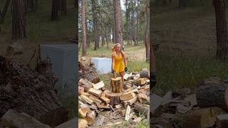 1 chop ONLY How did I do aspen wood onechop woodchopping splittingwood woodsplitting [upl. by Weidman]