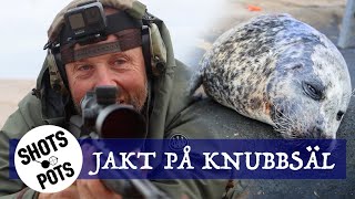 LUBBE JAGAR KNUBBSÄL  Se hur man flår en säl [upl. by Asecnarf169]