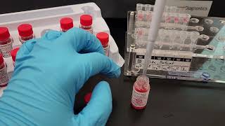 Blood Banking How to Perform a Gel Antibody Identification Panel [upl. by Oika400]