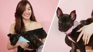 Tiffany Young Plays With Puppies While Answering Fan Questions [upl. by Aron563]