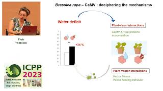 ICPP2023 Plant pathogens interactions in multi stress conditions abiotic and biotic stresses [upl. by Eigroeg419]