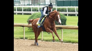 Belmont 2018  Justify sizzles in workout [upl. by Desma309]