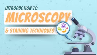 Microscopy amp Staining Techniques  Histology  Block 1 Foundation [upl. by Naimad30]