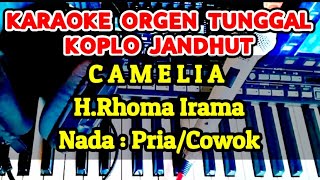 CAMELIA  HRHOMA IRAMA  KARAOKE KOPLO JANDHUT [upl. by Millda]