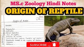 ORIGIN OF REPTILES  ORGIN OF REPTILES IN HINDI NOTES MSc zoology notes [upl. by Mcdade]