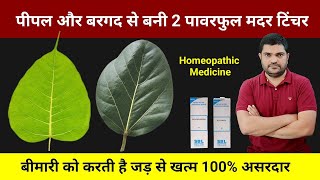 Homeopathic mother tincture made from peepal and banyan leaves [upl. by Ecreip]