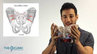 How the pelvis works part locked vs unlocked SIJ [upl. by Wallach908]