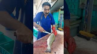 How to fillet a trout for frying fishcutting [upl. by Junius835]