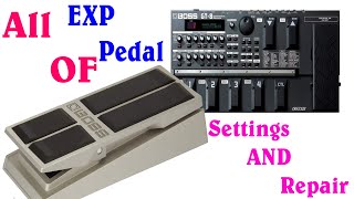 EXP Pedal All SettingsRepair and All Things [upl. by Nolahp35]